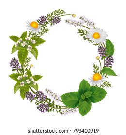 Vector round ornament of herbs and flowers for labels of herbal tea or herbal shampoo