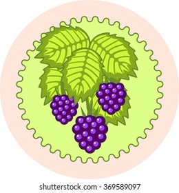 Vector round vignette, illustration of blackberry,with green leaves and purple berries.