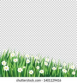 vector row of grass with white flowers on transparent background, cartoon design