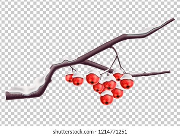 Vector rowan red berries on branch covered with snow for christmas decoration. Vector xmas, new year holiday celebration design, seasonal sale, discounts advertising element on transparent background
