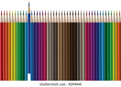 Vector - Rows of colorful and bright color pencils.