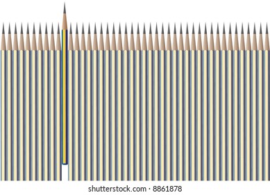 Vector - Rows of colorful and bright color pencils.