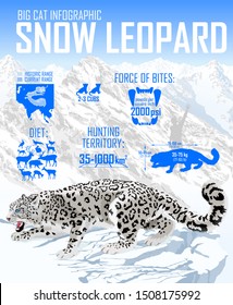 Vector rsnow leopard infographic illustration