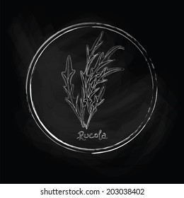 Vector rucola leaves, imitation of chalk fn the surface of the slate. Dark rucola. Vector illustration