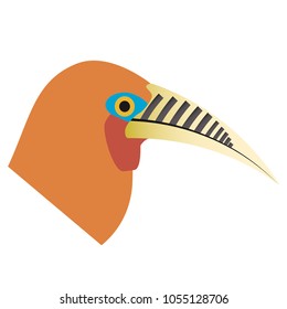 A vector of a rufous necked hornbill.