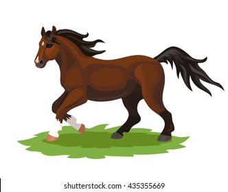 Vector running brown horse with white spots