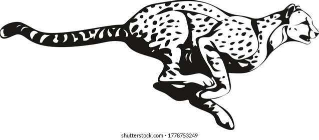 Vector of a running cheetah, design on white background. Animals. Leopard. Panther. Easy editable layered vector illustration. svg