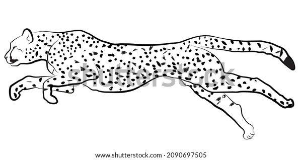 Vector Running Cheetah Drawing Line Art Stock Vector (Royalty Free ...