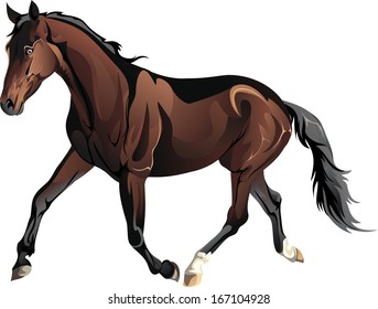 vector running horse