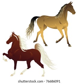 Vector running horses isolated on white background