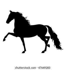 vector running morgan horse isolated on a white background