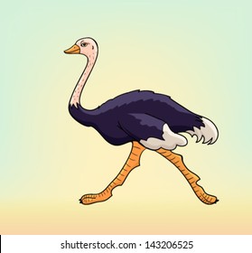 Vector running ostrich