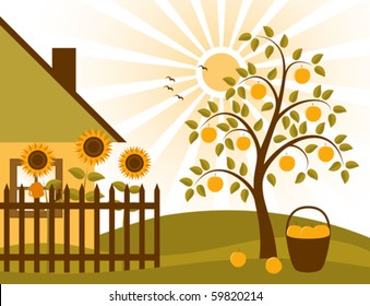 vector rural scene with apple tree, sunflowers behind fence and cottage