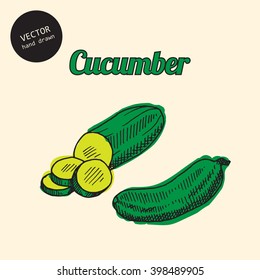Vector russian national food. Background consist of colored cucumbers. Sketch art style. Can use in cover, poster, label, banner, menu in restaurant or cafe.