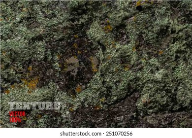 Vector rusted sheet of metal, metal texture, grunge background