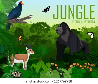 Vector Rwanda jungle rainforest with Ross's turaco, gazelle impala, python, male gorilla and butterflies