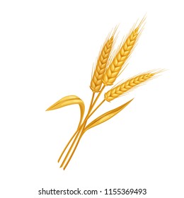 Vector rye or wheat spikelets. Illustration cereals for design of baking and bread products.
