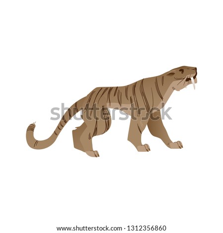 Vector saber-toothed tiger with big fangs roaring. Prehistoric wild cat with furious expression. Cartoon stone age animal icon. Ancient feline predator, isolated illustration