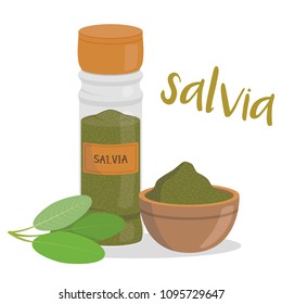 Vector sage illustration isolated in cartoon style. Spanish name. Herbs and Species Series