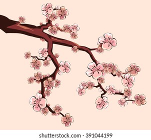 Vector sakura branch with blooming flowers