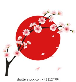 Vector sakura branch, flag. Realistic floral asian design for menu, invitation, greeting, wedding cards, websites, brochures, booklets, wallpapers in japanese style. Hanami festival flowers