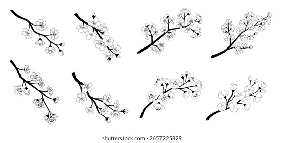 Ilustração de ramo sakura vetorial isolada