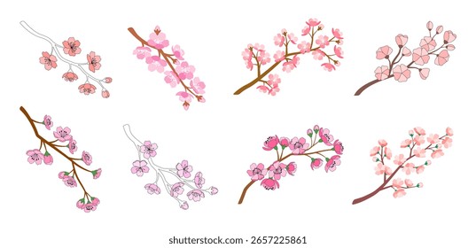 Vector sakura rama ilustración aislada