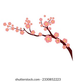 Vector sakura branches and flowers.