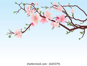 vector sakura or cherry blossoming tree brunch pink spring illustration on the blue sky background