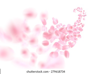 Vector sakura falling petals on white background