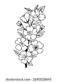 Vector sakura flores línea de arte. diseño para el arte de la pared, tarjetas de felicitación, carteles, pegatinas y textiles.