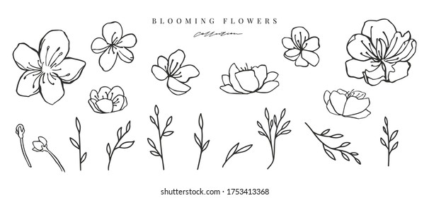 Vector sakura flowers set. Spring ink collection. Can use for logo, birthday party invitation, greeting card, banner, print design.