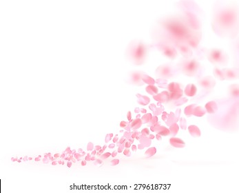 Vector sakura  flying petals on white background