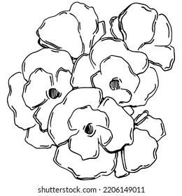Vector Sakura summer. Isolated botanical flower, leaves. Black and white engraved sketch ink art. Leaf plant botanical garden floral foliage. Wildflower drawing leaf illustration element.