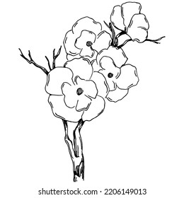 Vector Sakura summer. Isolated botanical flower, leaves. Black and white engraved sketch ink art. Leaf plant botanical garden floral foliage. Wildflower drawing leaf illustration element.