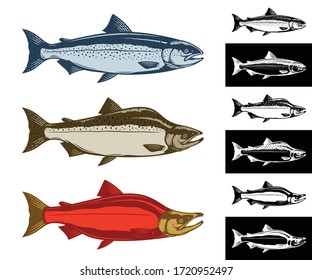 Vector salmon fish icons collection isolated on different backgrounds