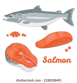 Vector salmon in flat style. Set of illustrations of salmon fish, steak, fillets and red caviar isolated on white background.