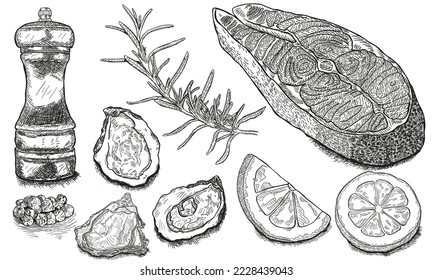 vector salmon steak hand drawn illustration. rosemary, lemon, fish elements