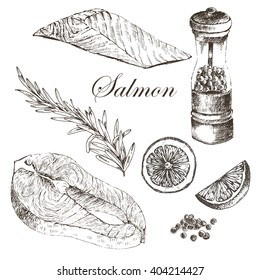 vector salmon steak hand drawn illustration. rosemary, lemon, fish elements