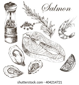 vector salmon steak hand drawn illustration. rosemary, lemon, fish elements