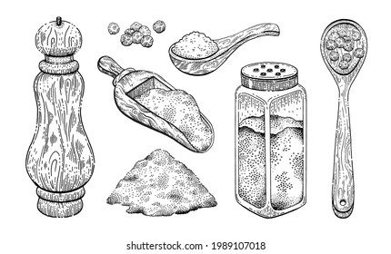 Vector salt pepper illustration. Spice hand drawn vintage sketch. Black pepper and sea salt seasoning isolated design. Powder, spoon, peppercorn mill shaker. Natural food doodle engraving collection