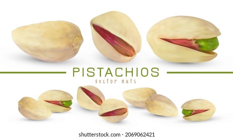 Vector salted pistachio kernel. Realistic green nuts isolated on white background. 3d snack fruit illustration.
