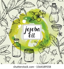 Vector Samless watercolor pattern with jojoba oil Cosmetic, hand drawn nuts, branch and fruit.