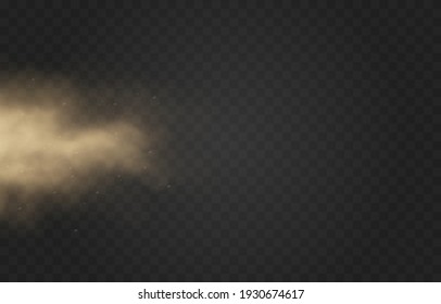 Vector sandy dust cloud. Clouds with dust particles. Sandstorm on an isolated transparent background. 