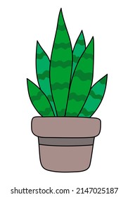 Vector Sansevieria Trifasciata. Green Houseplant Snake Plant Or Pike Tail In Pot. Cute Indoor Plant. Hand Drawn Vector Illustration In Flat Cartoon Style. Isolated On White Background. 