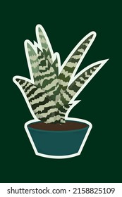 Vector Sansevieria Trifasciata In The Green-blue Pot. Sticker. Flat. Green Houseplant Snake Plant Or Pike Tail In Pot. Cute Indoor Plant. Hand Drawn Vector Illustration In Flat Cartoon Style.