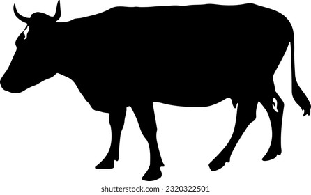 vector sapi siluet sapi cocok untuk logo atau kupon qurban, sapi ied adha lebaran haji