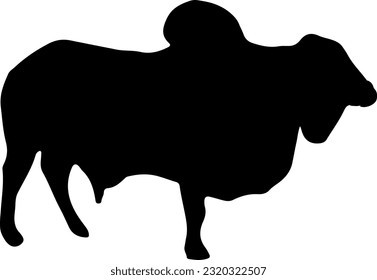 vector sapi siluet sapi cocok untuk logo atau kupon qurban, sapi ied adha lebaran haji