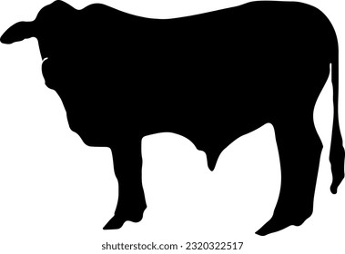 vector sapi siluet sapi cocok untuk logo atau kupon qurban, sapi ied adha lebaran haji