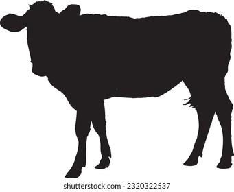 vector sapi siluet sapi cocok untuk logo atau kupon qurban, sapi ied adha lebaran haji